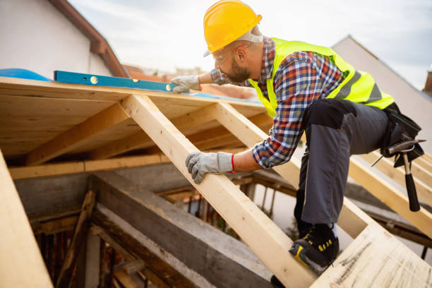 Best Roof Gutter Cleaning  in Minden, LA